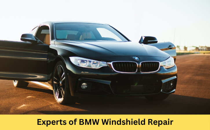 BMW Windshield Repair