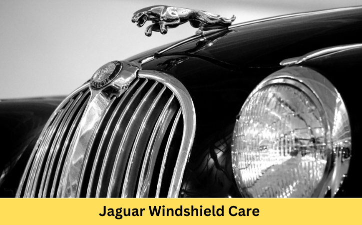 Jaguar Windshield Care